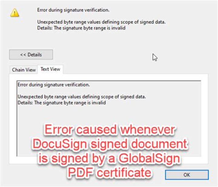 error during signature verification