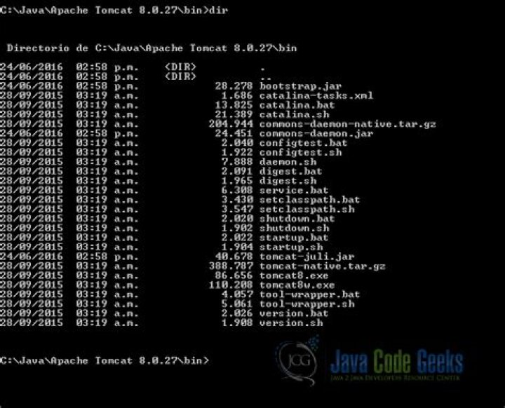 ERROR Tomcat: Apache - Java - Tomcat - Catalina [duplicate]