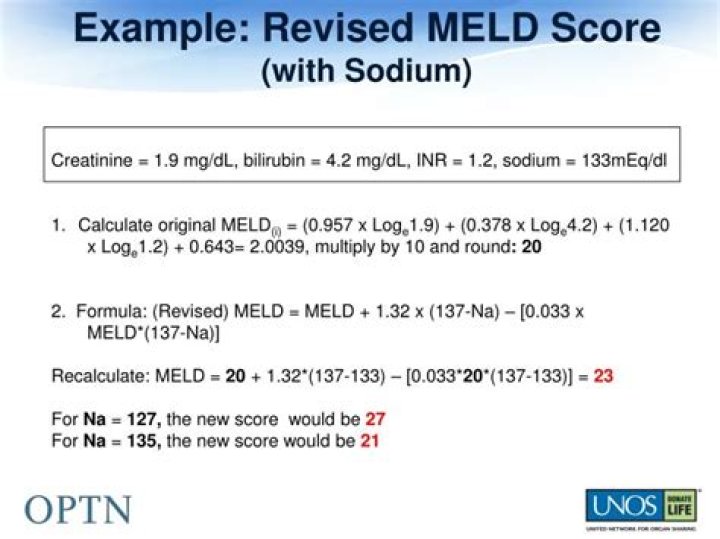 example meld