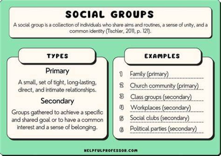 Examples of groups in the real world
