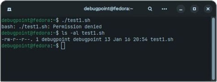 Executing a script with chroot; permission denied