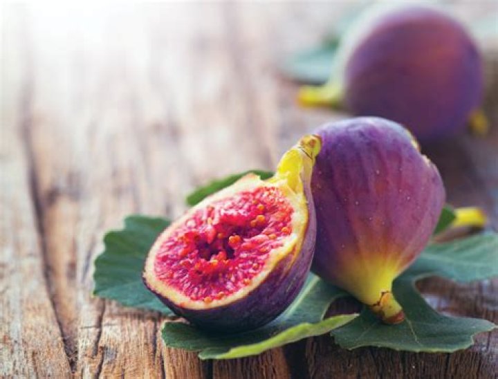 fig