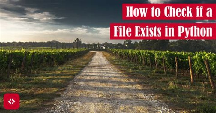 file exists image