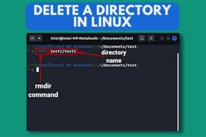 Find and delete all the directories named 