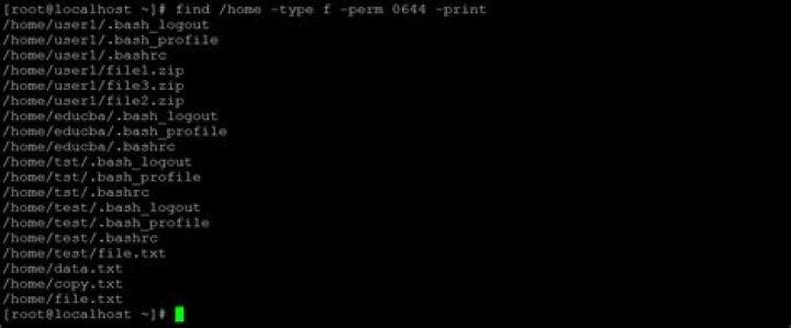 find command output