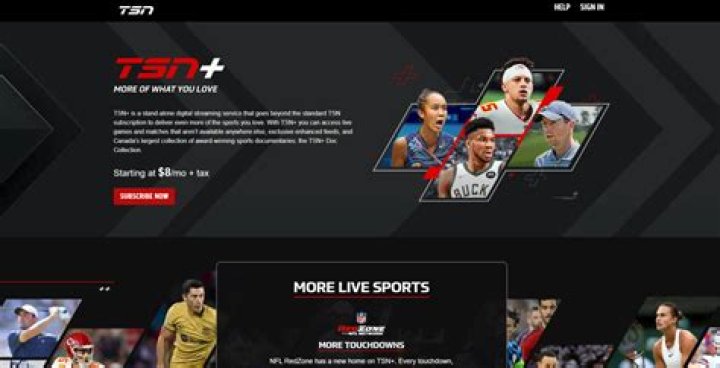 Flash Player on TSN.ca