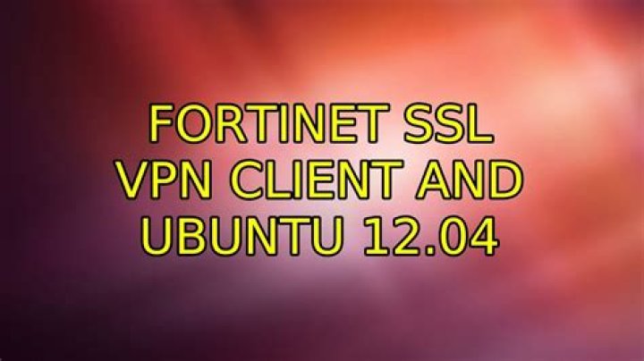 Fortinet SSL VPN Client and Ubuntu 12.04
