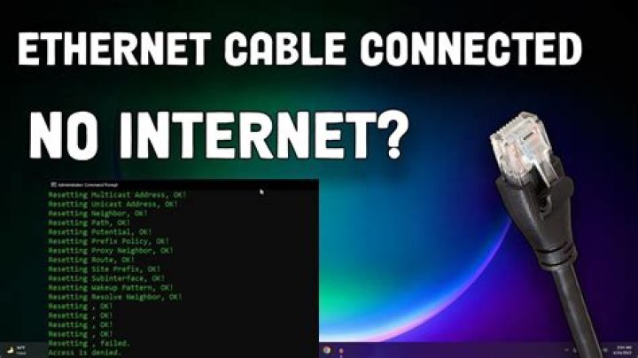 Freshly-built PC isn't connecting to internet via Ethernet. Is it a mobo driver issue? If so, which?