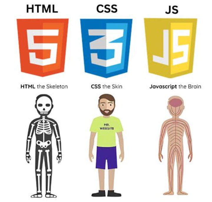 Get body element of site using only javascript