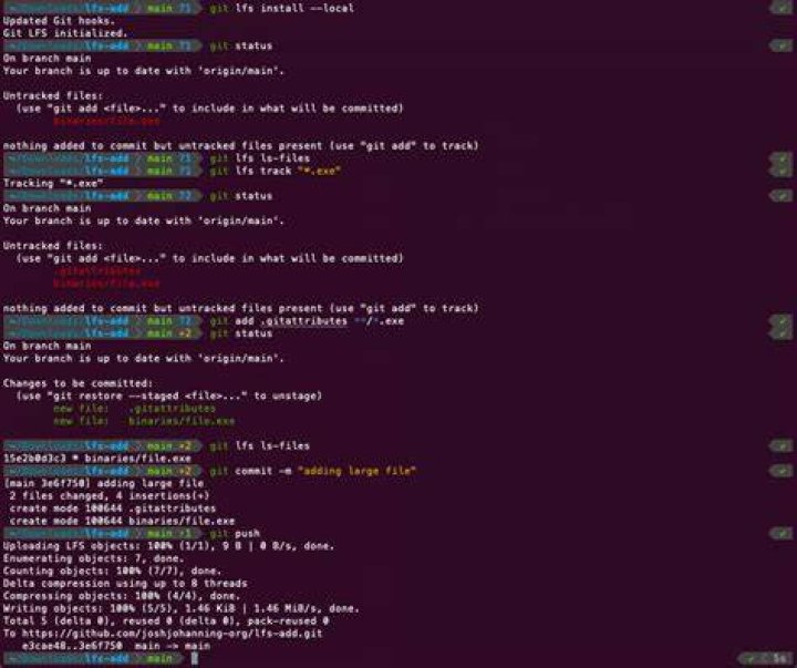 Git LFS refused to track my large files properly, until I did the following