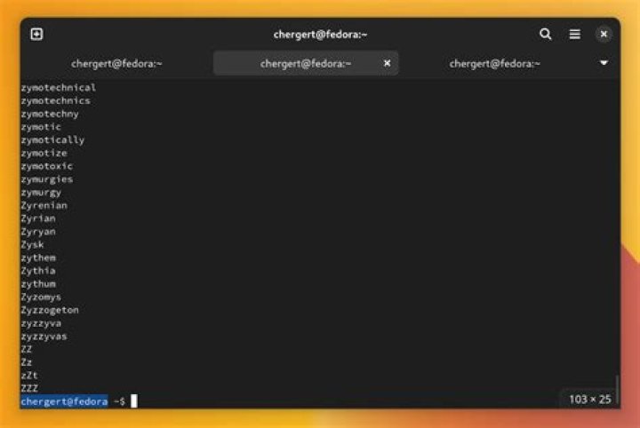 gnome-terminal screenshot - custom