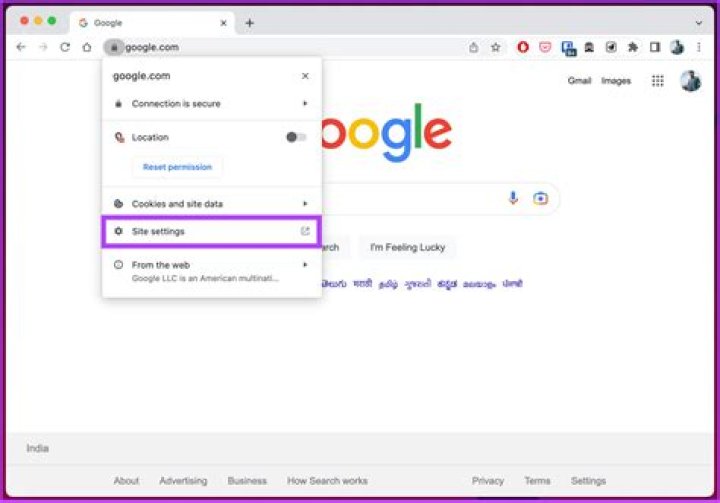 Google Chrome: How to bring the speed dial page back