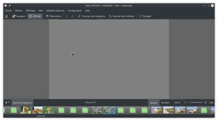 Gwenview with a photo selected that have a correct thumbnail