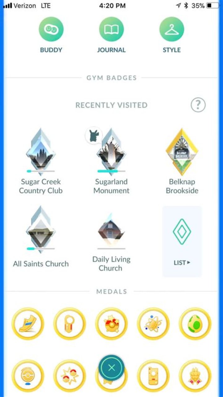 Gym badges status bars