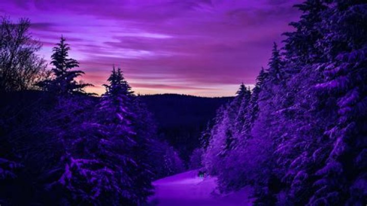 Here in purple on the right