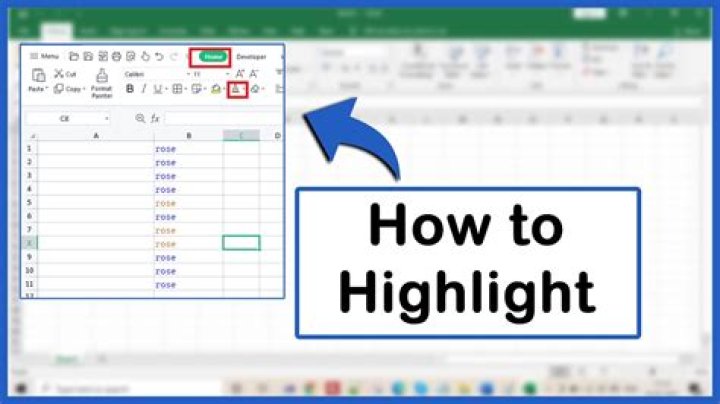 highlighted text in excel