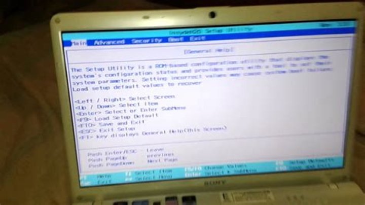 How can i access BIOS in sony vaio?