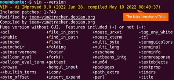 how can I check which version of vim I have installed?