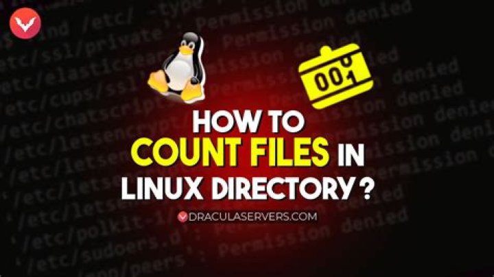 How can I count the number of folders in a drive using Linux?