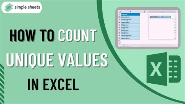 How can I count unique values in Excel?