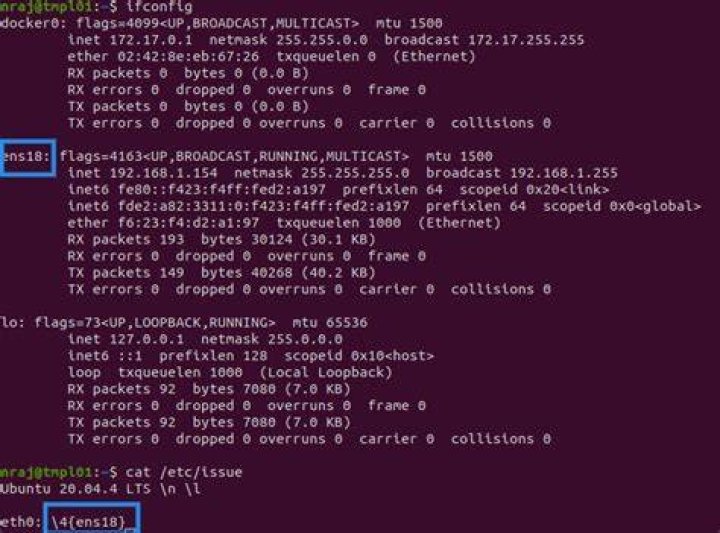 How can I display my machine's IP address on a TTY login screen?