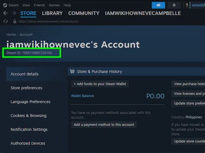 How can I find my steam ID?