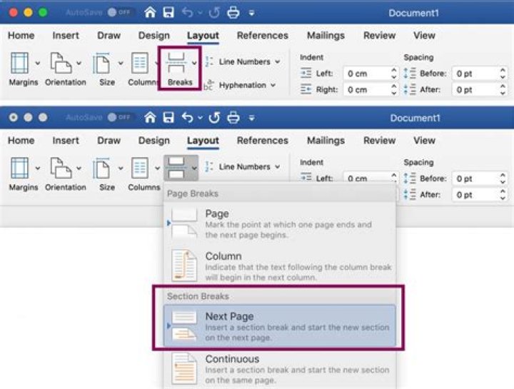 How can I format page numbering in MS Word which is 01, 02, 03, 04, 05, etc?