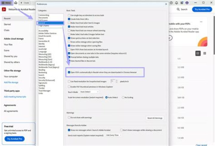 How can I get the downloads to start automatically after buying something on the web store?