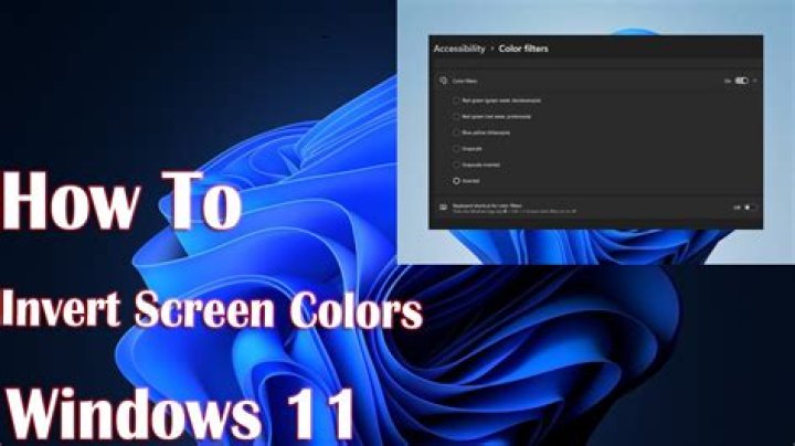 How can I invert my display colours under Kubuntu?