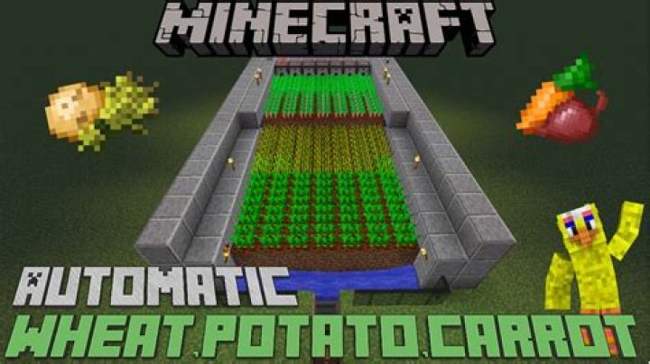How can I make an automatic wheat/potato/carrot/beetroot farm? [closed]