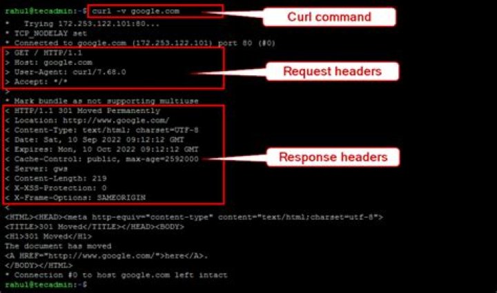 How can I only show the request header/response headers and output to /dev/null when using wget?