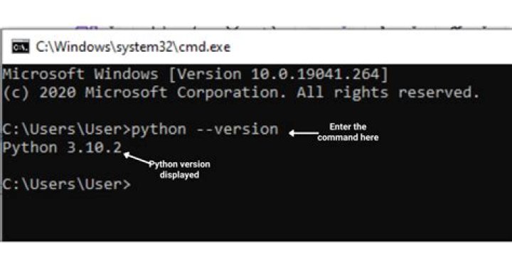 How can you detect the version of a browser?