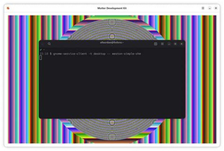 How coupled is Mutter to Gnome Shell in Gnome3?