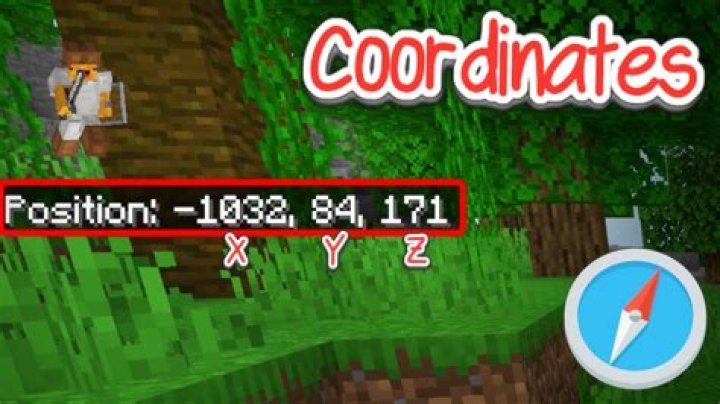 How do coordinates work in minecraft? (SSP)