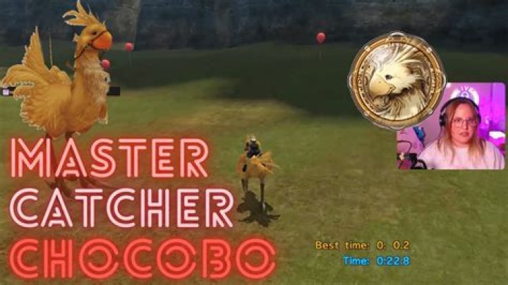 How do I Beat the Catcher Chocobo Race