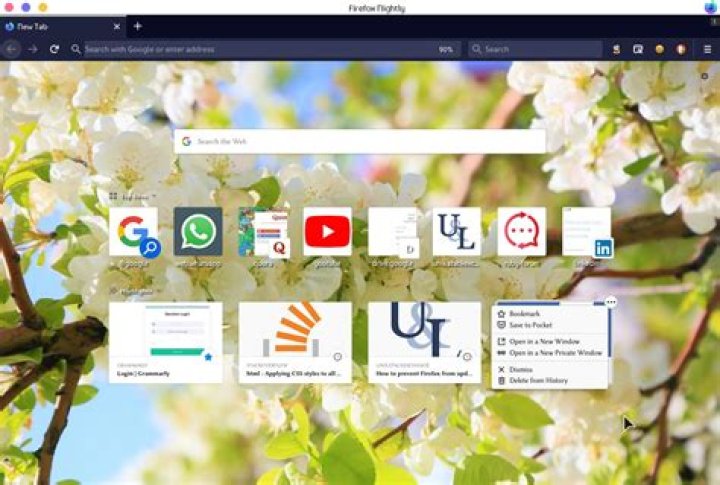How do I change the background image of Home page in Firefox?