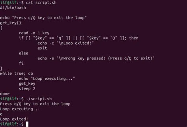 How do I exit BASH while loop using modulus operator?
