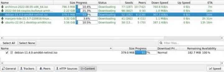 How do I extract list of files from a magnet link or .torrent?