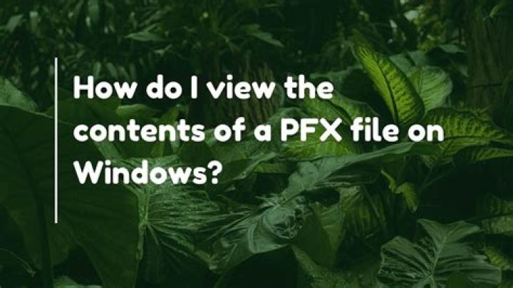 How do I view the contents of a PFX file on Windows?