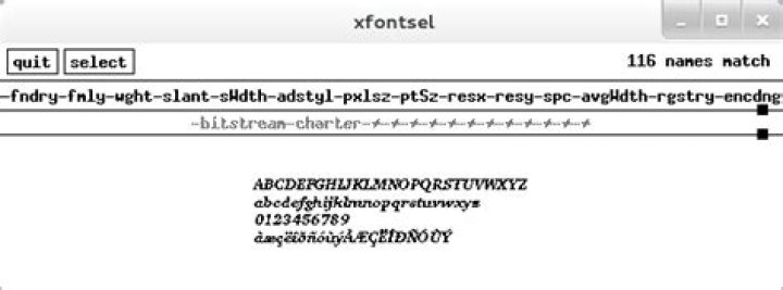 How do you know the correct name to use for X11 fonts for XTerm*faceName or xterm -fa <NAME>?