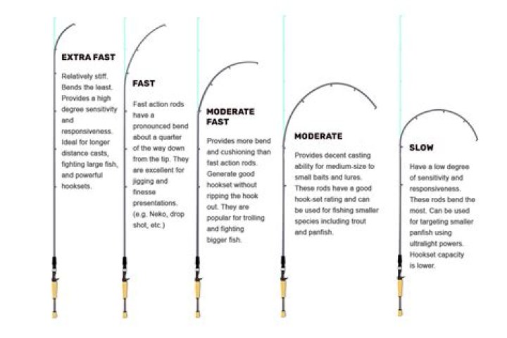 How does the quality of the Fishing Rod affect the counter rate when fishing? If it doesn't, what does it do?