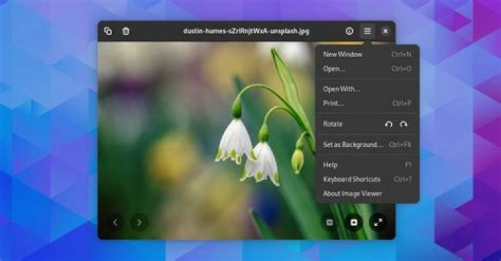 How to add WebP support to Eye of GNOME