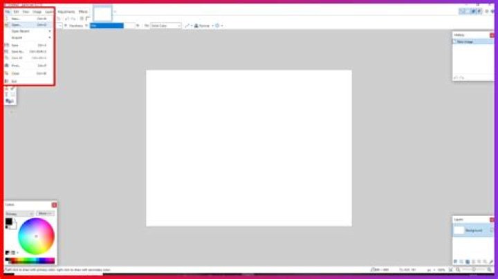 How to change the canvas background color from checkered to white in paint.net?