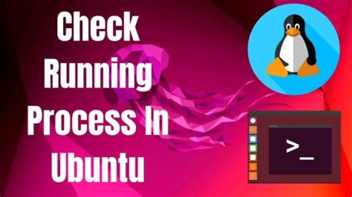 How to check the process is already running or not