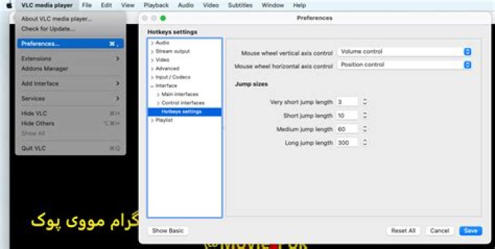 How to configure the foward/rewind step size (in seconds)?
