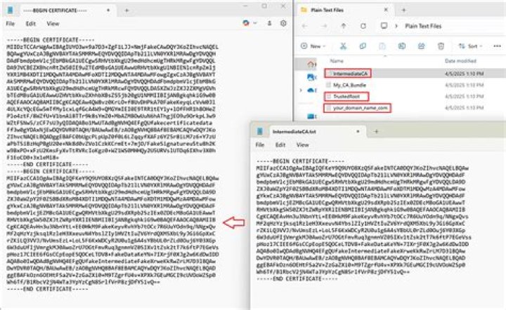 How to convert .crt to .pem [duplicate]
