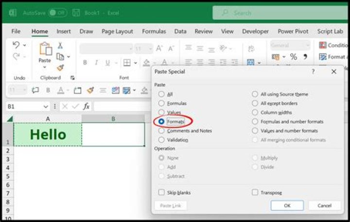 How to copy the contents only of an Excel cell minus the formatting?