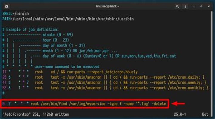 How to create a persistent cronjob on an Ubiquiti Edgerouter-X so its still there after a firmware update