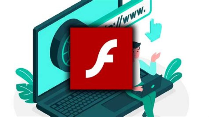 How to enable the flash player plugin in IE8?