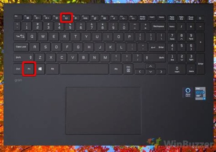 How to enable the touchpad on a Compaq Presario?